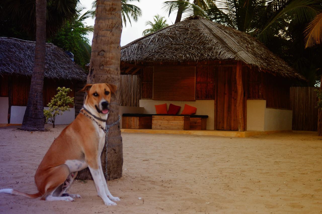 Sandy Edge Kalpitiya Exterior photo